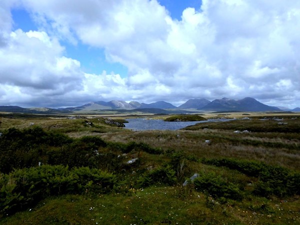 An image labelled Natural landscape