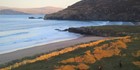 An image labelled Donegal's Many Natural Treasures