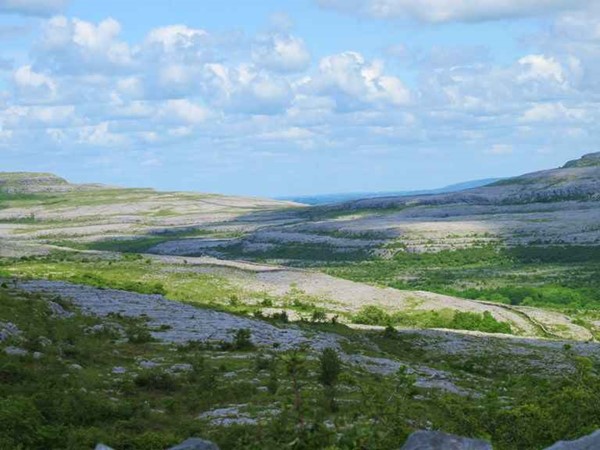 An image labelled Natural landscape