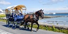 An image labelled Horse & Carriage Tour