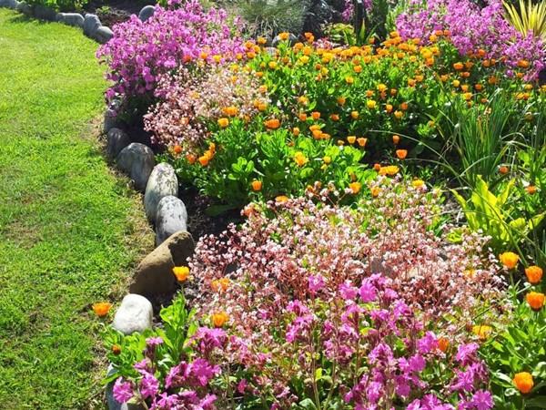 An image labelled Garden