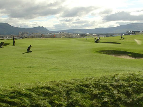 An image labelled Golfcourse