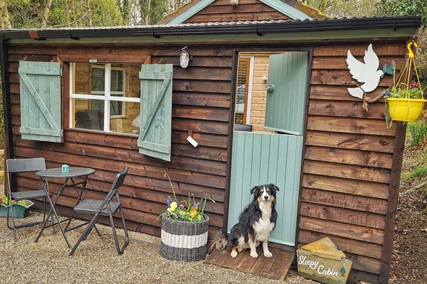 An image labelled Sleepy Cabin