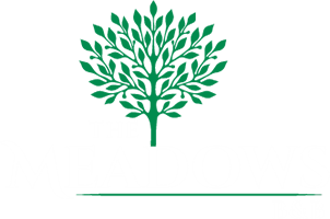 An image labelled The Meadows B&B Logo